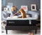 Tempur-Pedic ProAdapt® 12" Medium Hybrid Mattress