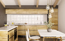 Z-Lite Ayra Pendant Lighting Collection