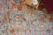 Loloi Javari Collection, JV-08