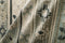 Loloi Owen Collection, OW-01