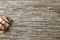 Loloi Promenade Collection, PO-06